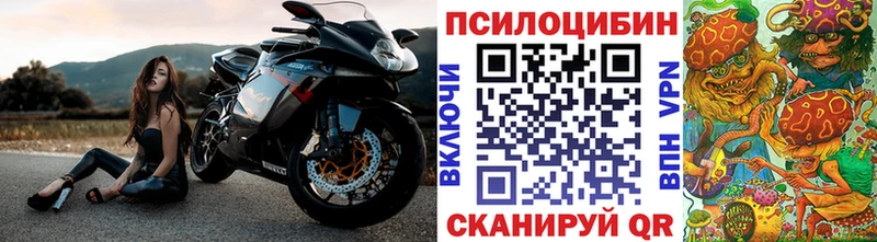 Галлюциногенные грибы MAGIC MUSHROOMS  hydra как зайти  Ужур  купить закладку 